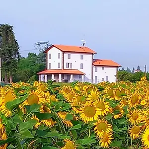  Bed & Breakfast La Collinetta